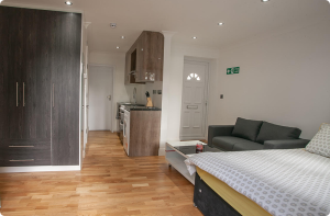 Studio Apartment - wardrobe, washing machine, Sofa In Living Area